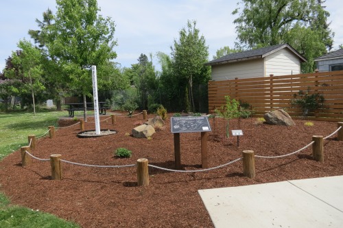 Peace garden, including Peace Pole, Ginkgo tree and Chief Joseph Pine